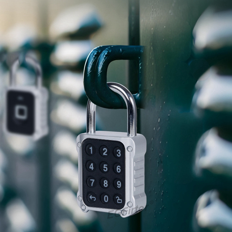 Tuya Bluetooth APP Remote Elec - Lockbox Key Secure recensie en prijs