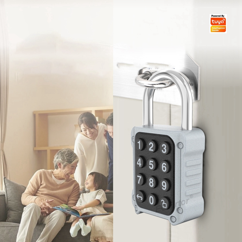Tuya Bluetooth APP Remote Elec - Lockbox Key Secure recensie en prijs