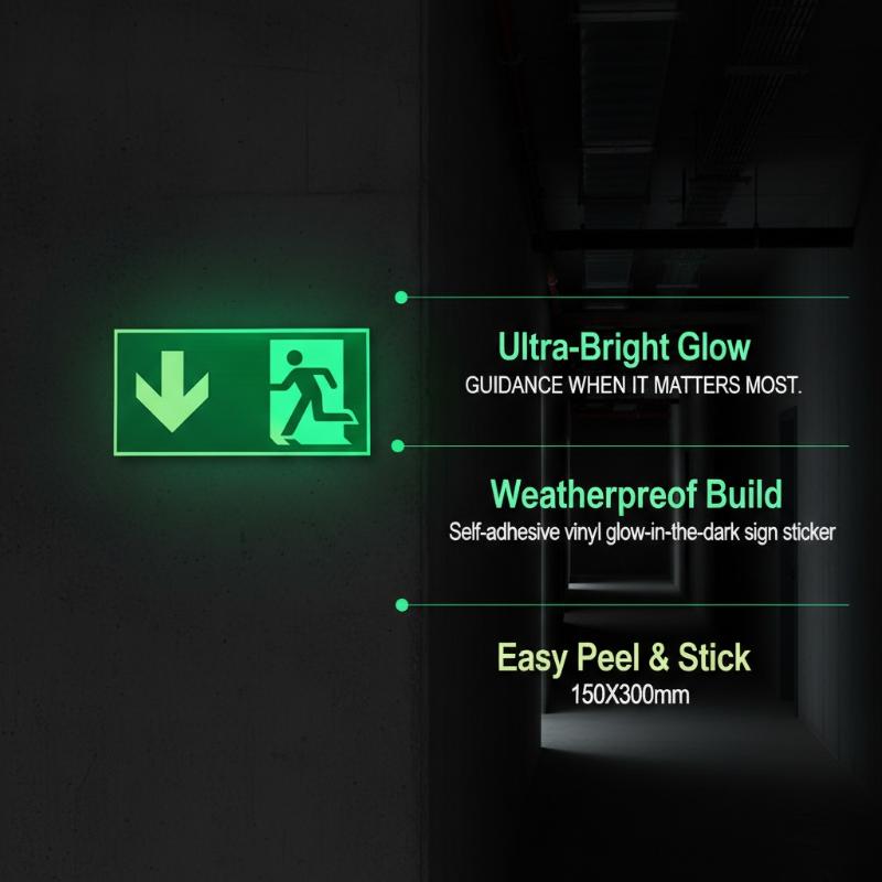 1 Sheet Glow-In-The-Dark Safet - Emergency Exit Sign recensie en prijs