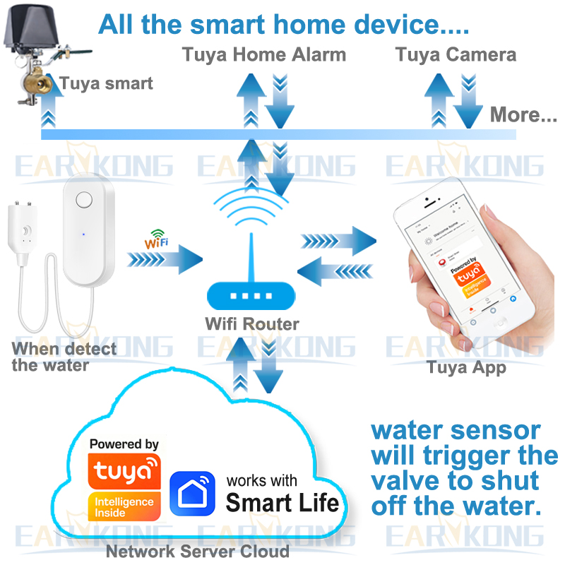 Tuya WiFi Smart Water Leak Sen - Water Alarm Sensor recensie en prijs